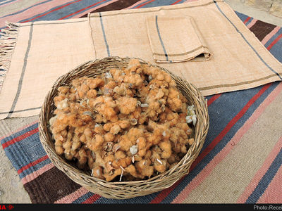 ۸ مراسم و آیین معنوی در خراسان جنوبی به ثبت رسید