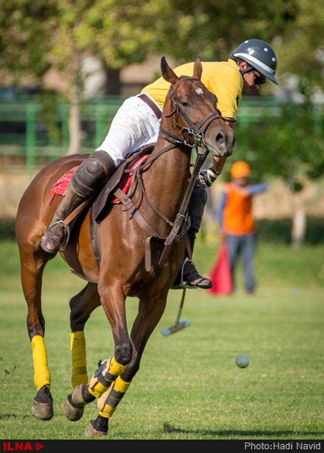 رقابتهای سه گانه چوگان هفته دولت ۱۳۹۵ - کانون چوگان/نوروزآباد