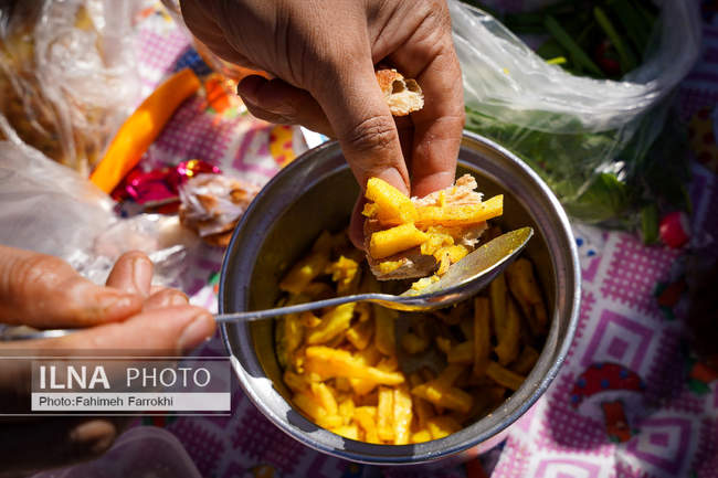 اشتغالزایی در مزارع کشاورزی سیب زمینی فیروزکوه