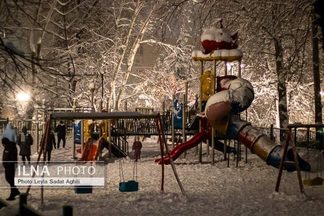 تهران در یک شب سرد برفی