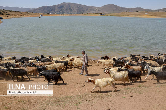 آئین سنتی مالشوران در کلیشم عمارلوری گیلان 