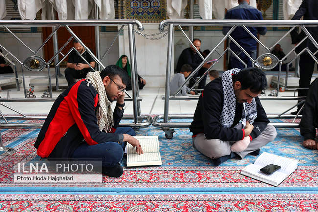 زائران حضرت امیرالمومنین علیه السلام 