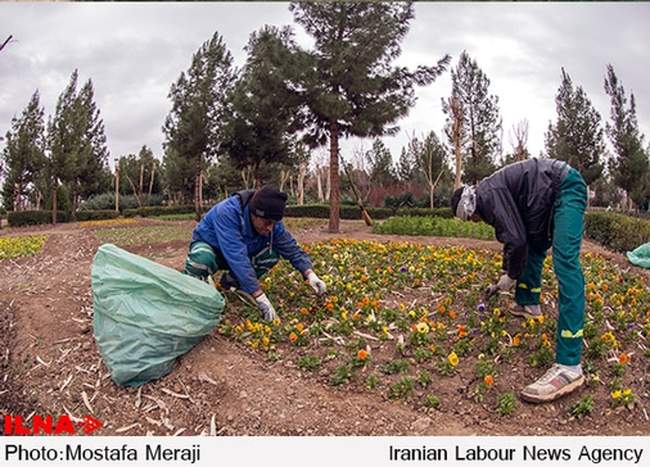 استقبال از بهار