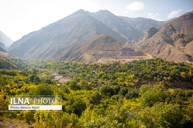 برداشت انار از باغ های سنگان استان قزوین