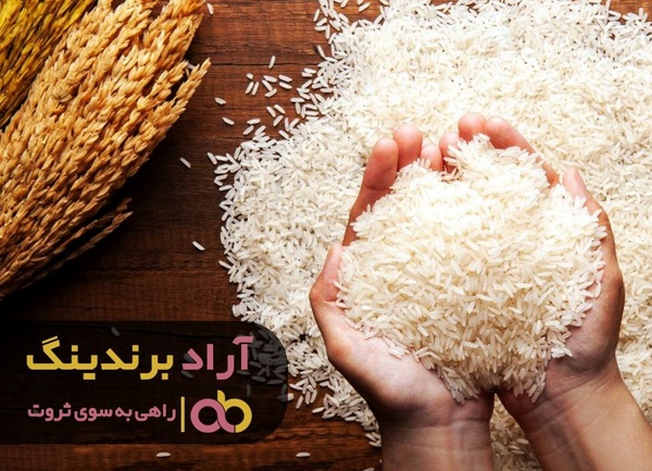 
راز ثروتمند شدنم در واقع برنج است