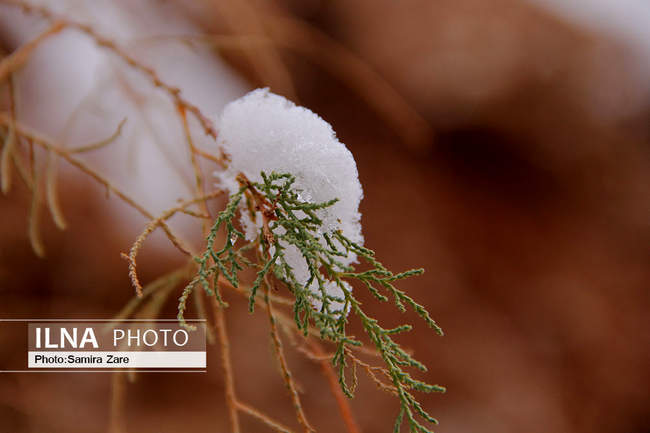 طبیعت برفی روستای قلات