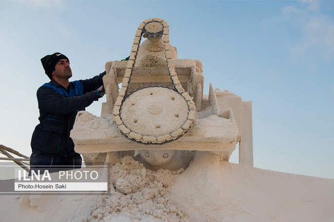 تولید شکر از چغندر قند 