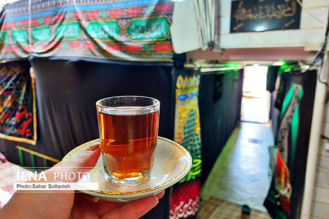 قزوینی‌ها در جستجوی ناگفته‌های تاریخی از دریچه دوربین ایلنا