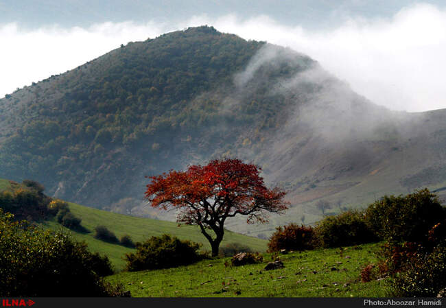 بازی رنگها در رودبار گیلان