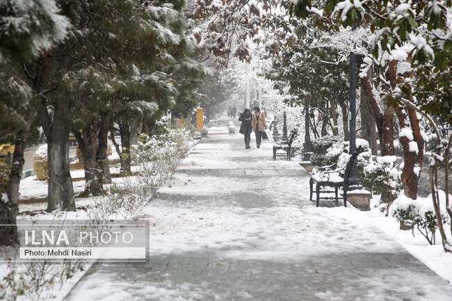 بارش برف در تهران