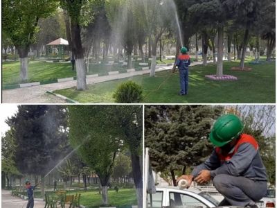 آغاز عملیات سم‌پاشی درختان نارون شهر کرمانشاه