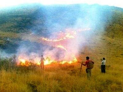 خسارت به ۱۵ هکتار از منطقه حفاظت شده «اشترانکوه» بر اثر آتش سوزی