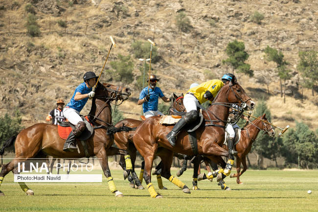 فینال رقابتهای چوگان جام مالکین