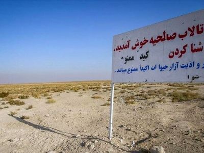 مشکل‌ریزگرد تالاب صالحیه با مشارکت دستگاه‌های ذیربط برطرف می شود 