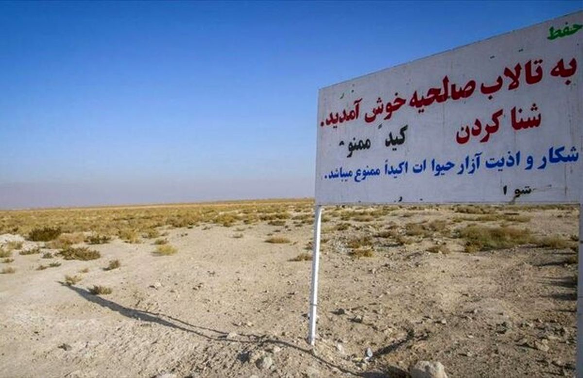 مشکل‌ریزگرد تالاب صالحیه با مشارکت دستگاه‌های ذیربط برطرف می شود 