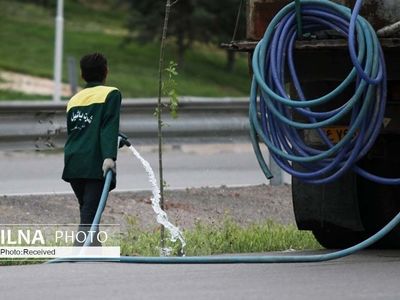 آبیاری درختان منطقه 4 شهرداری کرج با آب غیر شرب
