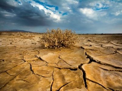 کسری مخازن سالیانه دشت‌های استان مرکزی حدود 200 میلیون مترمکعب است / بارندگی‌ها تأثیر مثبتی در بهبود وضعیت دشت‌ها و منابع آب زیرزمینی نداشته است
