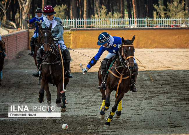 مسابقات چوگان جام وحدت (بانوان):‌ تیم چوگان قصرفیروزه - تیم چوگان شهد