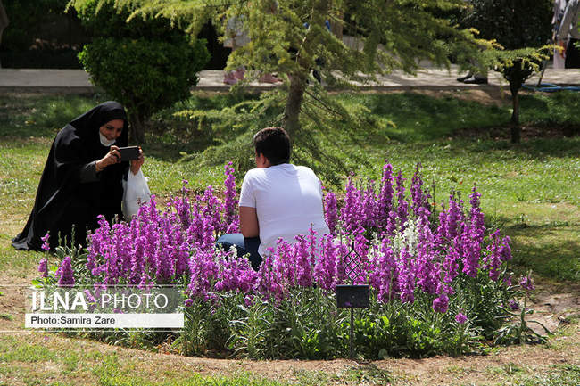 بازدیدمسافران نوروزی ازباغ ارم شیراز