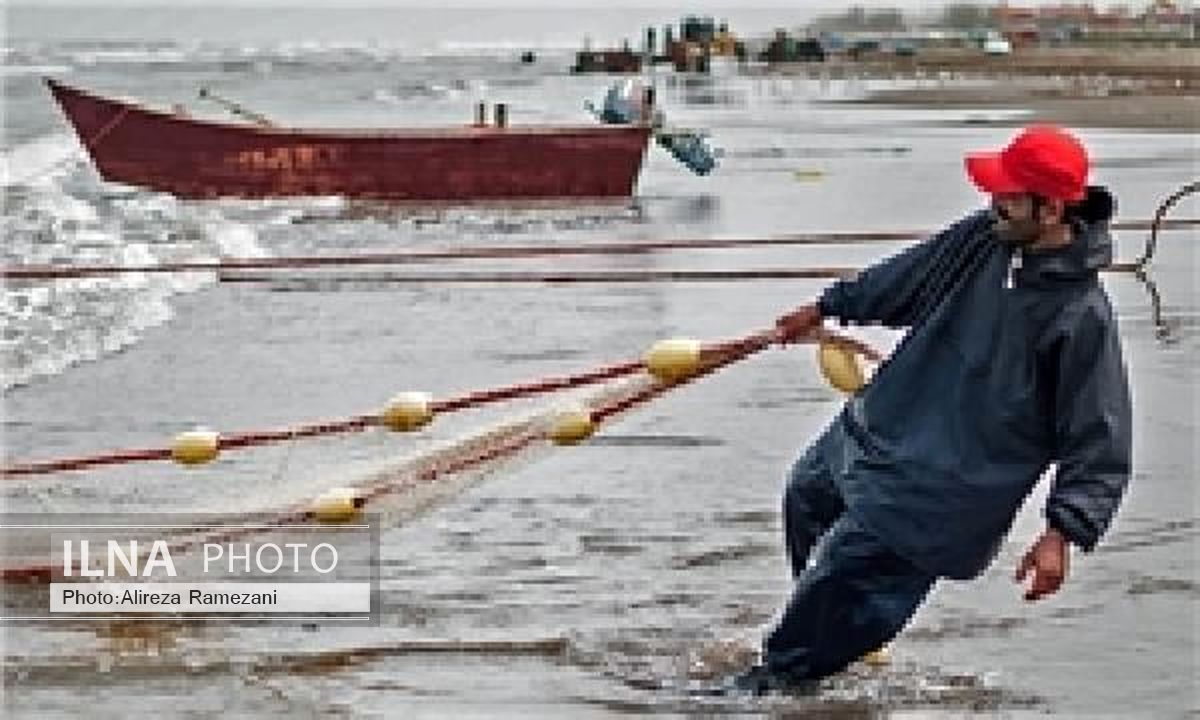 کشف بیش از 14 هزار دام غیرمجاز در دریای مازندران