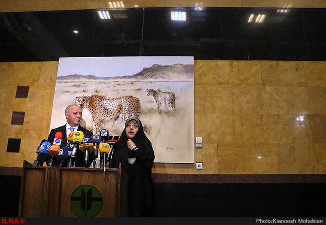 دیدار لوران فابیوس با معصومه ابتکار