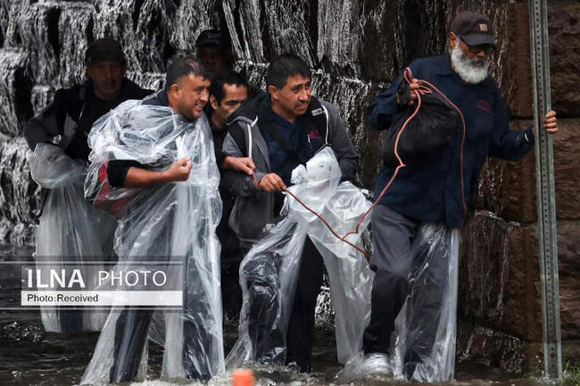 سیل در نیویورک