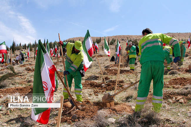 مراسم روز درختکاری