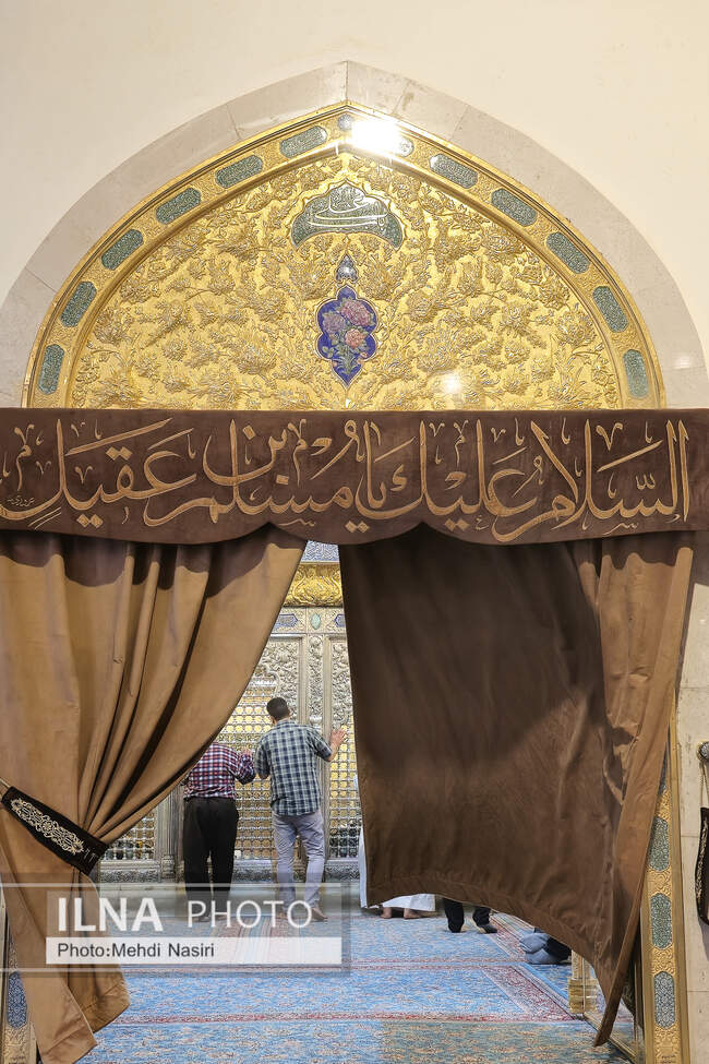  ضریح مطهر حضرت مسلم بن عقیل در مسجد کوفه
