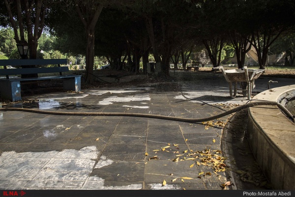 آبیاری فوق استاندارد دانشگاه خلیج‌فارس در بحران بی‌آبی+ تصاویر