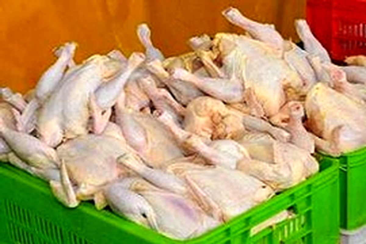 بیش از دو هزار تن فرآورده‌های دام و طیور در آرادان تولید شد