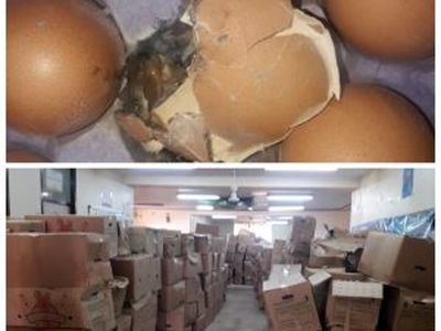 پلمپ محموله ۵ تریلر حامل تخم مرغ در سوسنگرد