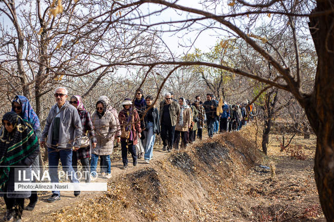 باغستان سنتی؛ میراث کهن مردم قزوین 