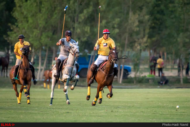 مسابقات چوگان جام قهرمانی کشور ۱۳۹۵: کانون البرز-نوروزآباد
