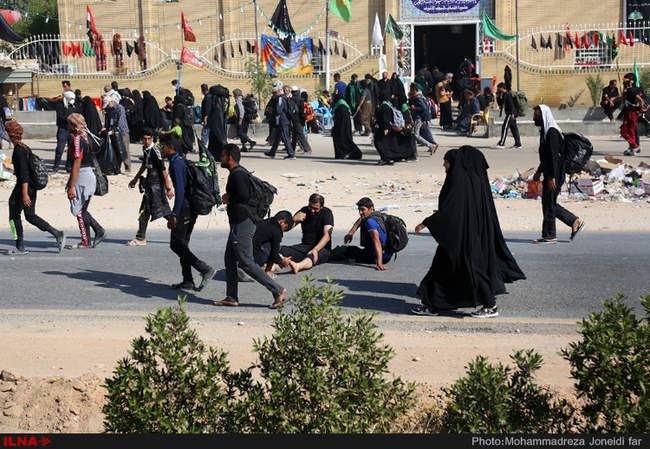 راهپیمایی زائران اربعین حسینی از نجف تا کربلا/2