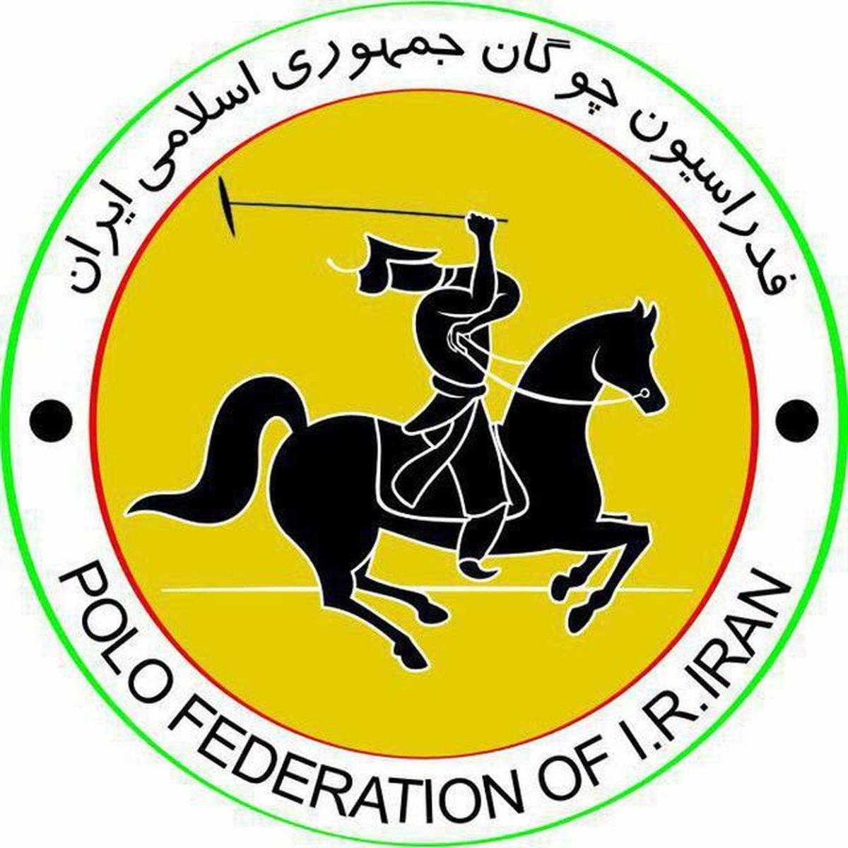 عبور سرپرست فدراسیون چوگان از خط قرمز وزیر ورزش!
