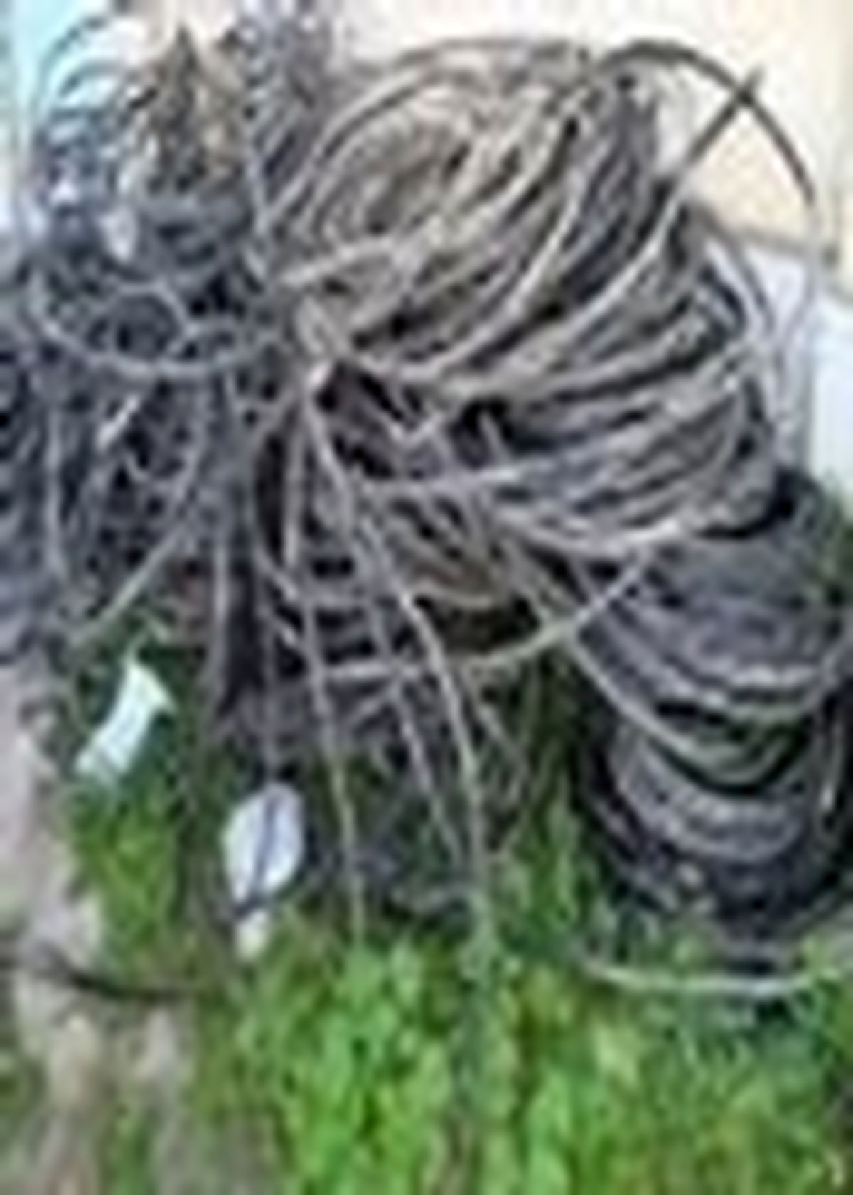 کشف بیش از یک تن سیم برق سرقتی در نکا