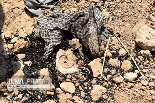 کشف گور دسته‌جمعی پر از استخوان‌ و لباس‌ 