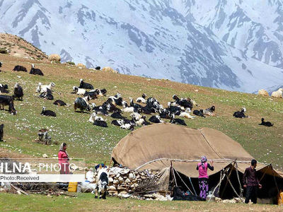 شیوع گسترده کرونا  بین عشایر دزفول/به داد عشایر نرسند، فاجعه اتفاق می افتد