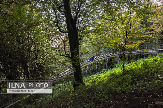 چشم انداز جنگل و دریا در قاب طبیعت