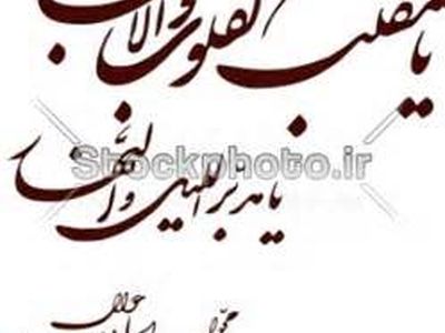 مجری زن ممنوع التصویر برای برنامه سال تحویل انتخاب شد + عکس