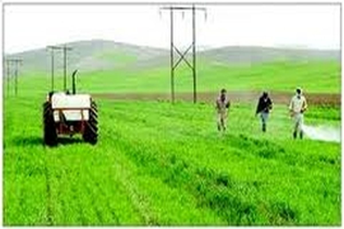 اقتصاد شهر، بدون اقتصاد روستا پایدار نمی شود