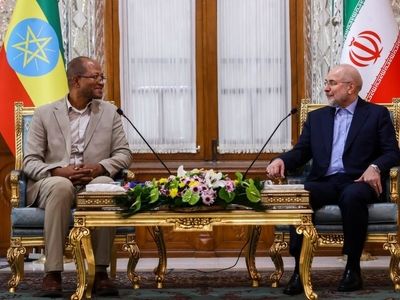 
Iran, Ethiopia parliament speakers meet in Tehran
