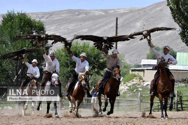 شکار با عقاب در قرقیزستان 
