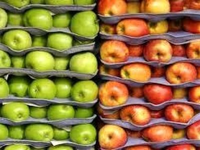 مجوز واردات آناناس و انبه پاکستانی در قبال صادرات سیب درختی ایران ابلاغ شد