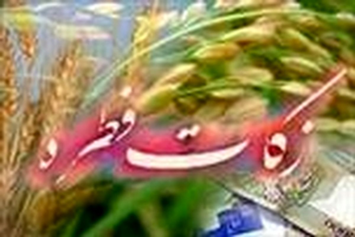 توزیع زکات فطره بین نیازمندان در اسرع وقت