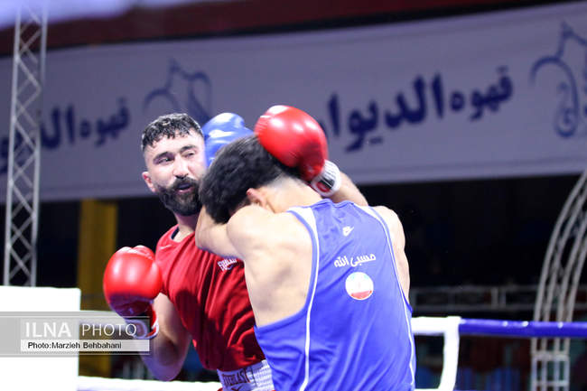 بیستمین دوره مسابقات قهرمانی بوکس کشور 