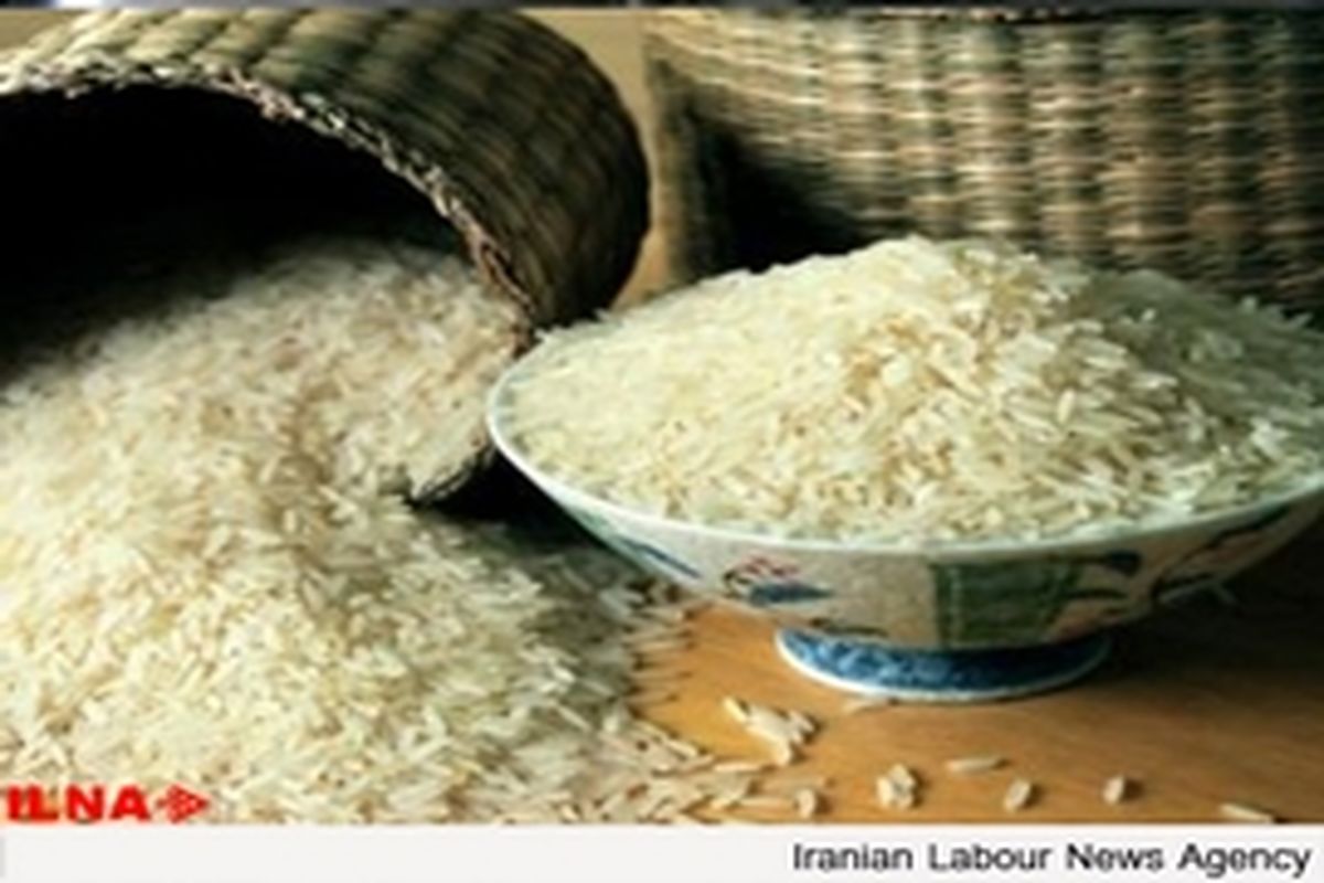 افزایش ۹۳ درصدی واردات برنج در ده ماهه گذشته / توزیع برنج هندی در سبد کالایی صحیح نبود