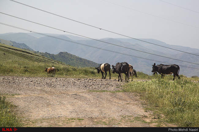 روستای کلشتر و توربین‌های بادی منجیل