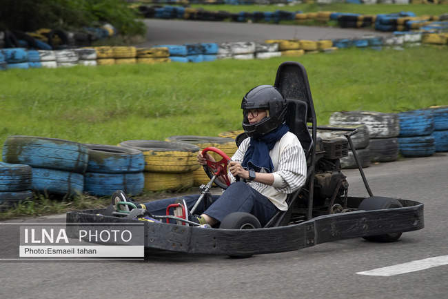 چشم انداز جنگل و دریا در قاب طبیعت
