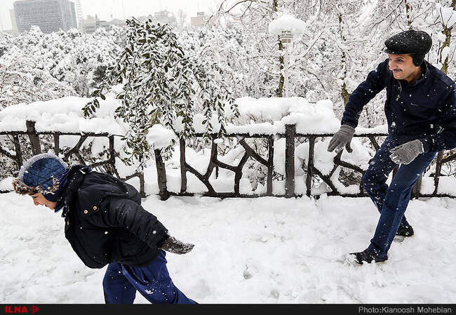 صبح برفی تهران